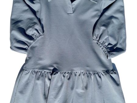 Sibley Sweatshirt Dress Hot on Sale