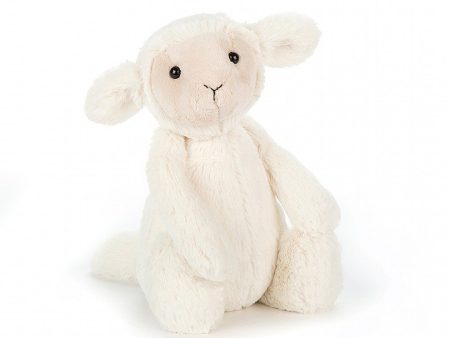 Bashful Lamb For Sale