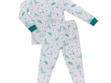 Boys Dinosaur Jammies Supply